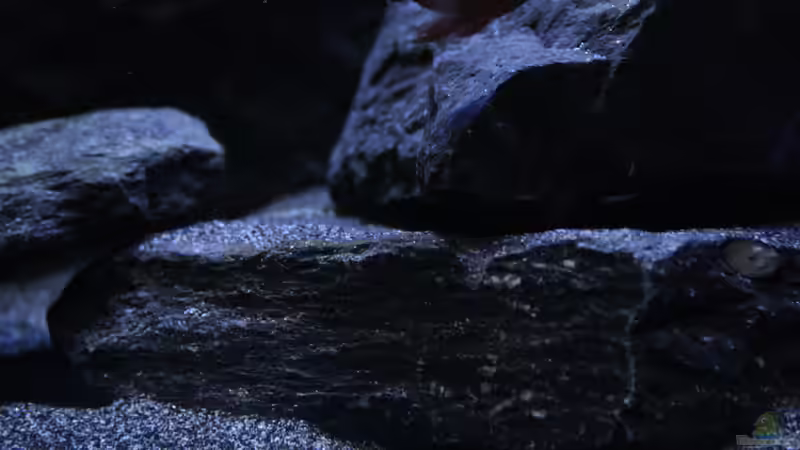 Steine und Sand von skipper1202 (15)