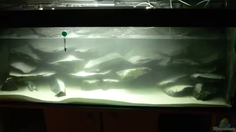 Steine und Weißer Quarzsand 15.01.2013 von DominikZ (26)