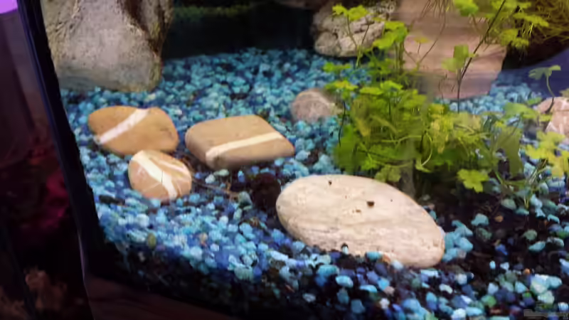 Steine vom Isarufer von mamo2000 (19)