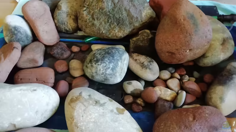 Steine von - Stephen - (25)