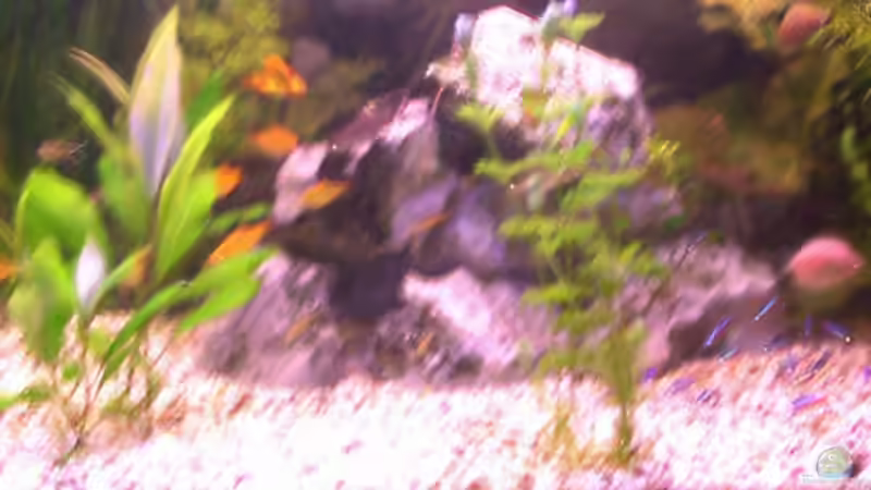 Steine von Daniela Daum (14)