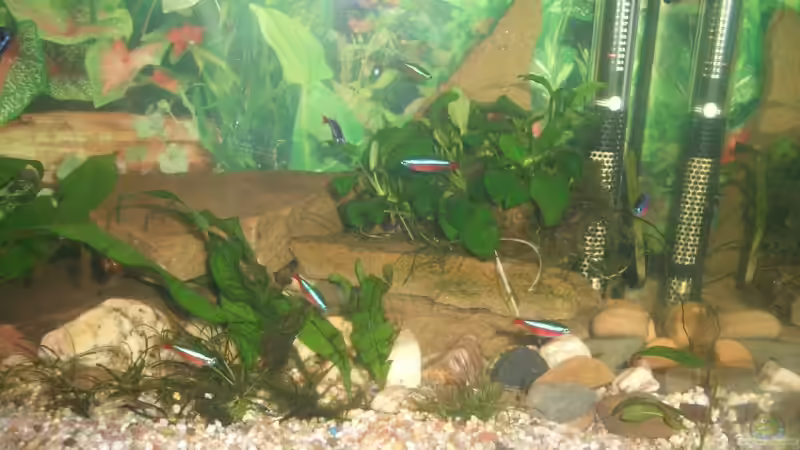 Steine von Hans Holten (5)