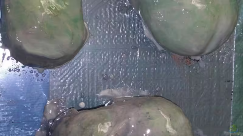 Steine von Malawi TOM (19)