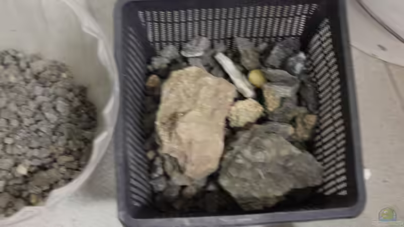 Steine von maxheadroom (60)