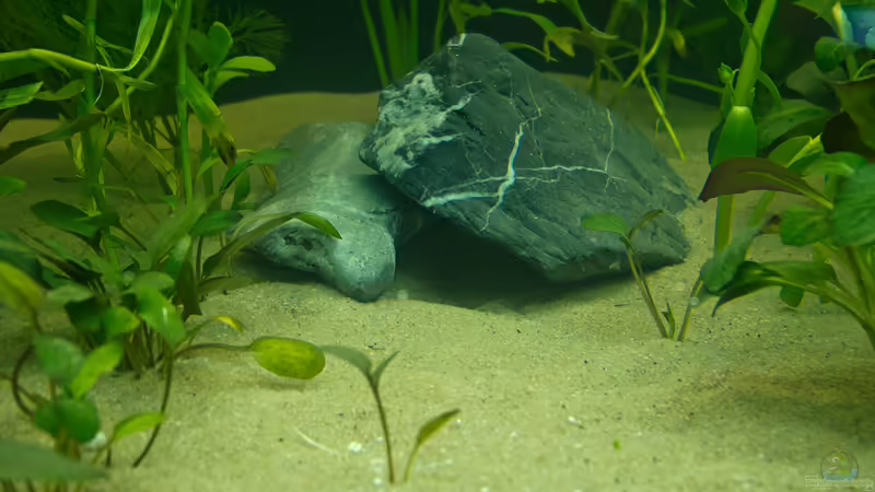 Steine von Nico Frische (13)