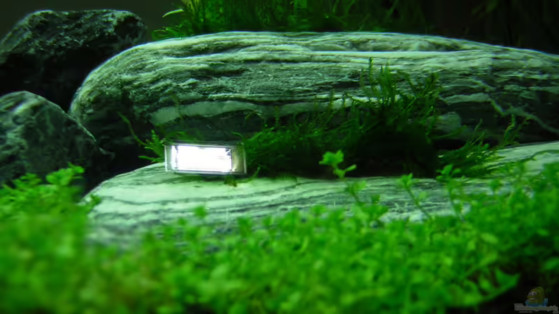 Steine von Shinjo01x (3)