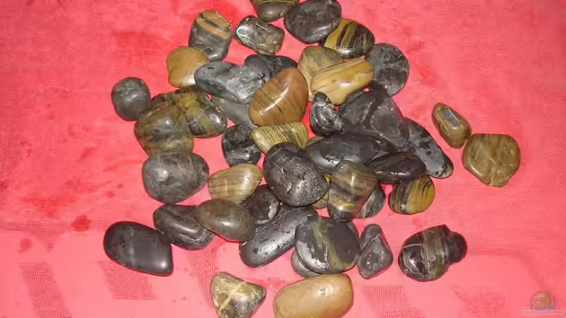 Steine von *Thorsten* (14)