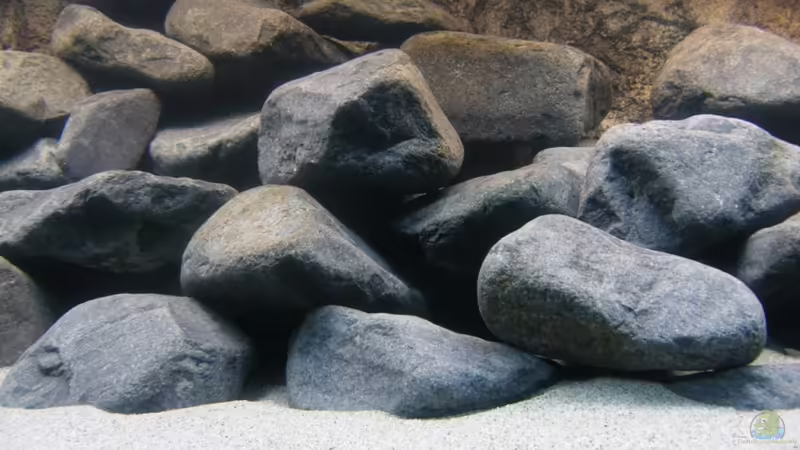 Steine von Zerta (11)