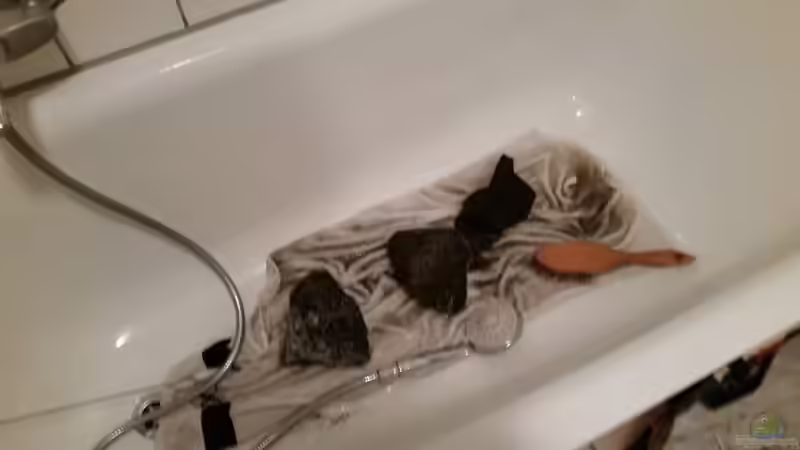 Steine waschen von Gunnar2060 (25)