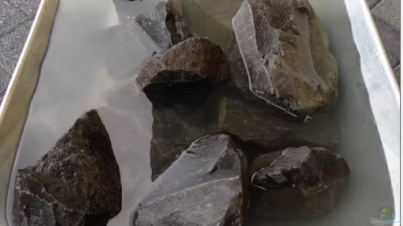 Steine waschen von Lynex (12)