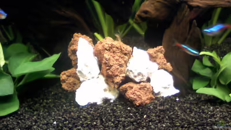 Steineberg von Steffi & Hans (10)