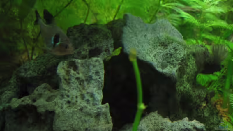 Steinhaufen/-hügel von Frank Förster (3)