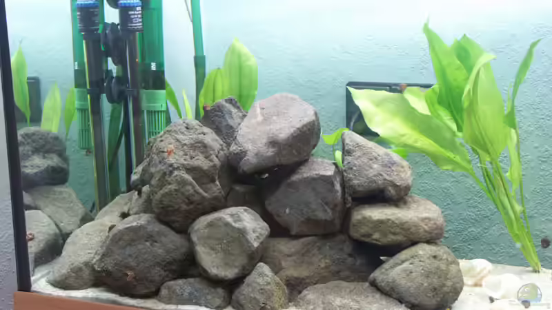 Steinhaufen 3/2005 von Andreas Petkelis (5)