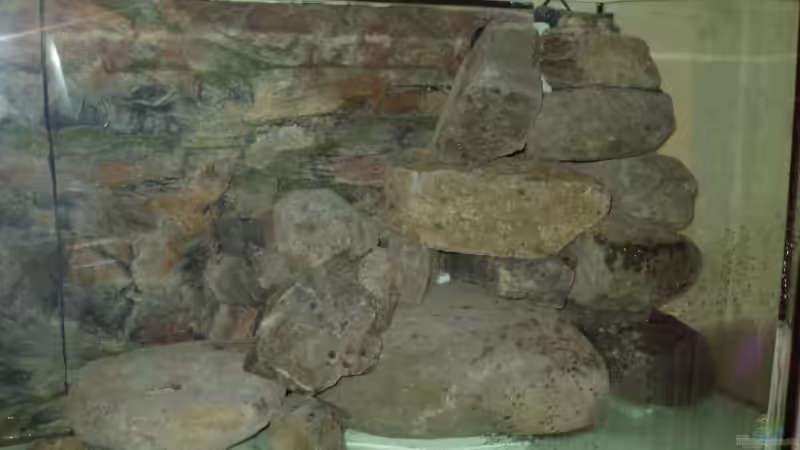 Steinhaufen rechts - bei Einrichtung des Beckens von Baresi (7)