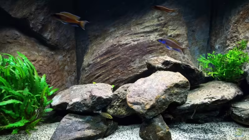 Steinhaufen von Baeltes (10)