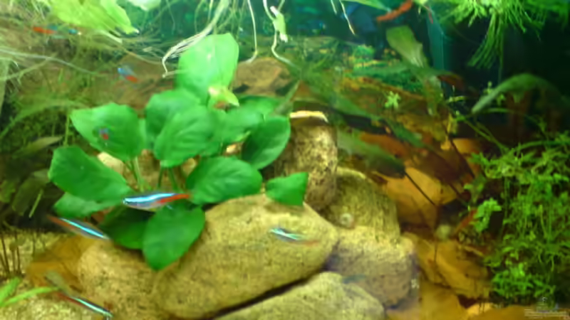 Steinhaufen von Daniel Bade (3)