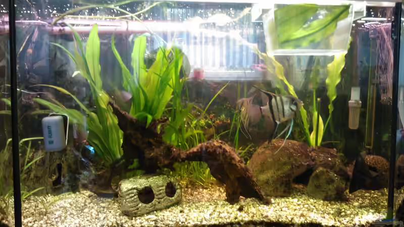 Steinhöhle mit zwei eingansmöglichkeiten von mischling12 (11)