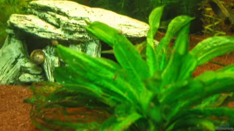 Steinhöhle von Schred (5)