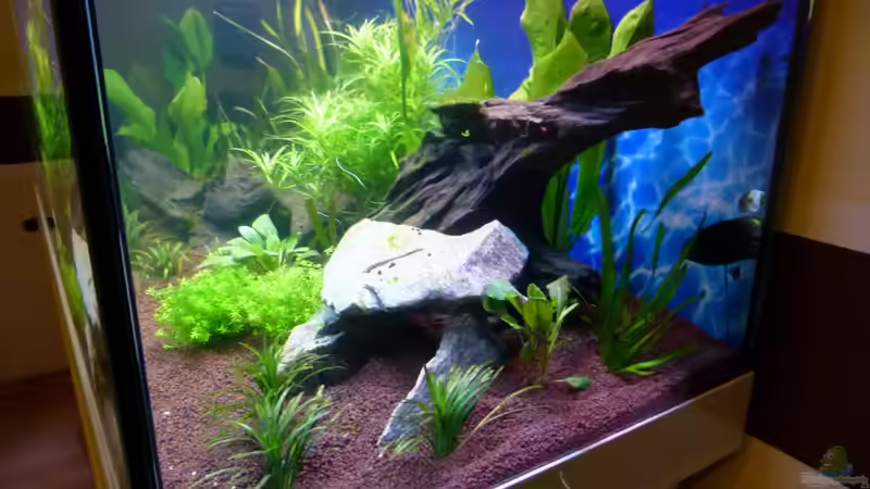 Steinhöle mit ´Herbstlaub´ von Mc.Maurer (16)