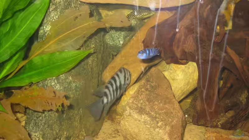 Steinhöle von Markus Hoffman (2)