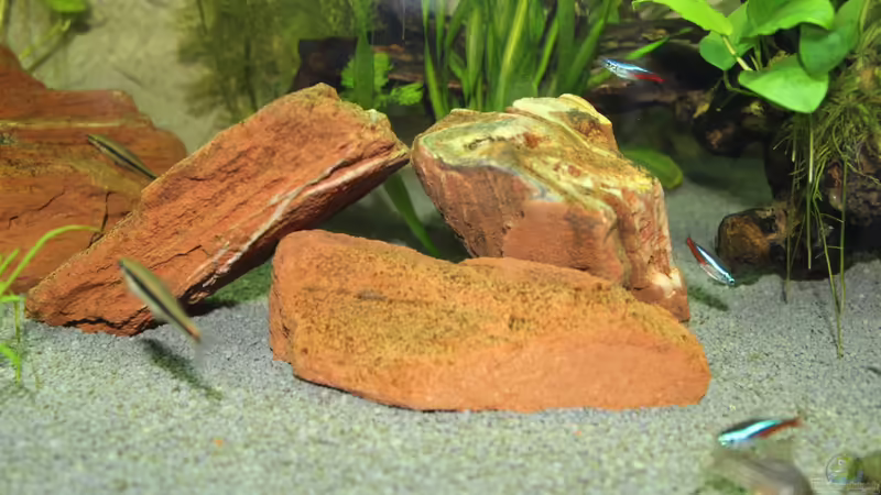 Steinholz von spektukal (15)