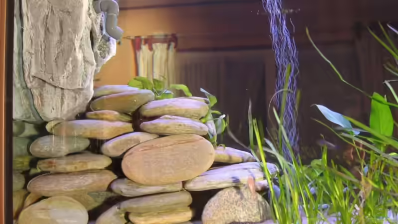 Steinplatten - Fels für Filter von Hubert Demonty (7)