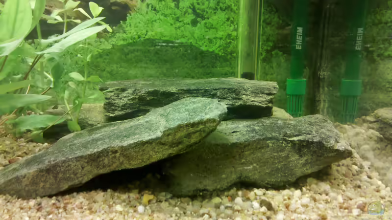 Steinplatten von De Millo (15)