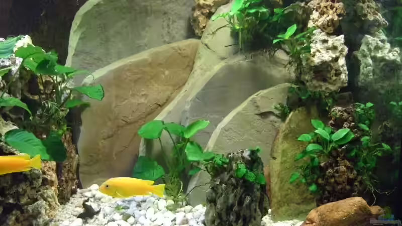 Steinplatten von Frank Seifarth (10)