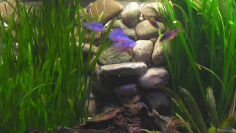 Steinrückwand von Henric Beyer (4)