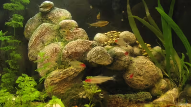 Steintreppe aus Kunstoff // zu einem Boden umfunktioniert von Lakritzkatze (5)