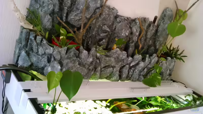 steinwand mit bepflanzung usw. von phrankdiddie (18)