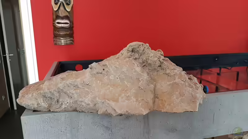 Steinzeit Design 3 von Charmin (16)