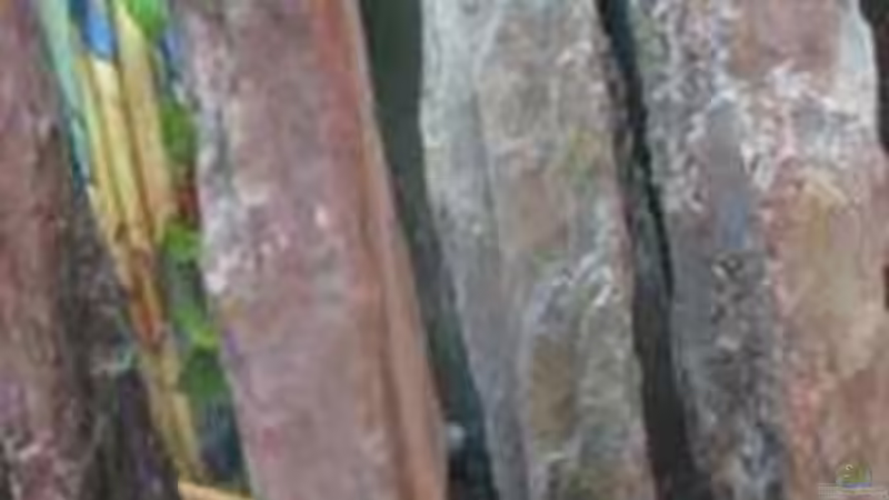 STELEN AUS BASALT 70 CM HOCH von Vera Herrlich (12)