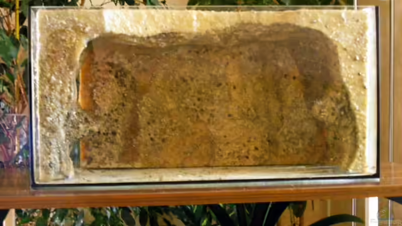 Step 2 einkleben des Höhlenblogs von Falk (3)