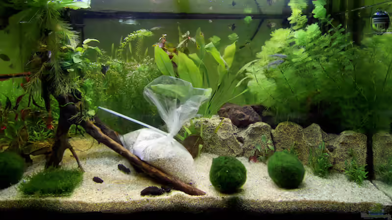 Step 3 von Flea78 (4)