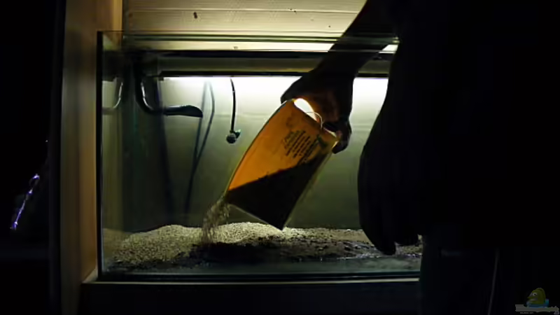 Step 4-Kies auffüllen von Falk (6)