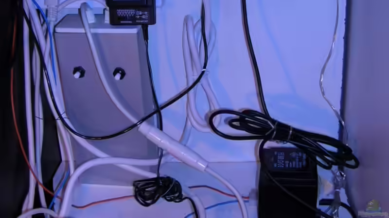 Steuerungsanlage von Bungi (6)