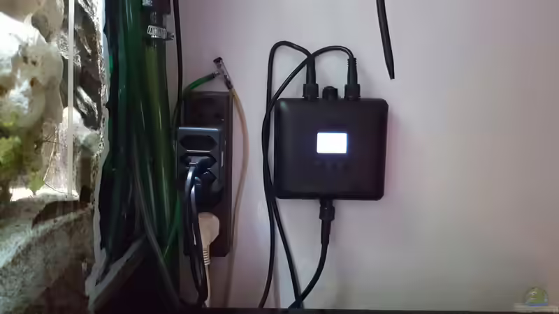 Steurung Licht Sonnen auf und Untergang von Eisbaer (14)