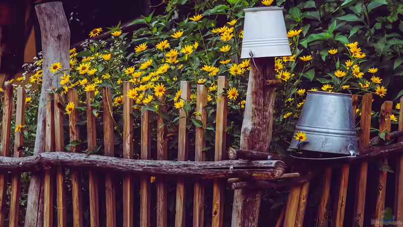 Stil des Gartens - Den perfekten Garten für jeden Geschmack gestalten