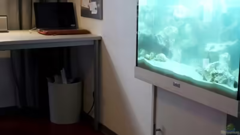 Stimmiges Design. von Stabheuschrecke23 (3)