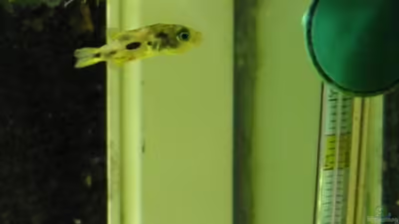 Stimmt die Temperatur? ;-) von Christina Studt (27)