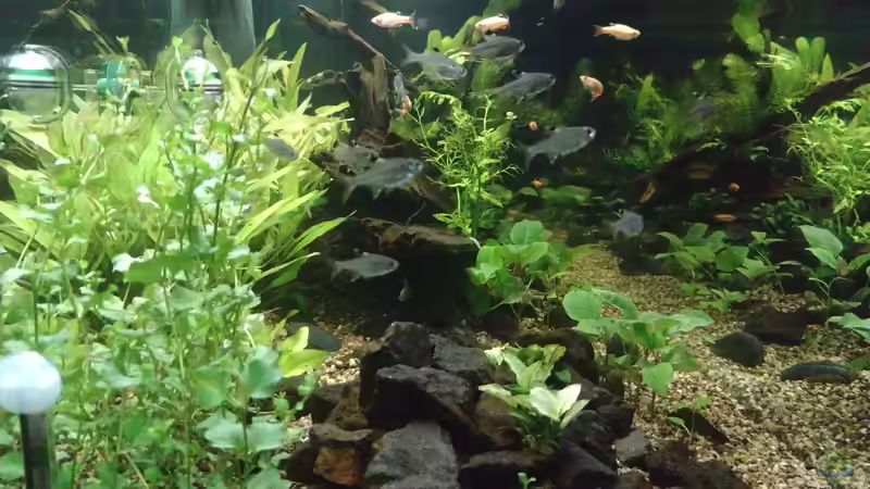 Stirnansicht am 08.11.2021 von C-NA (13)