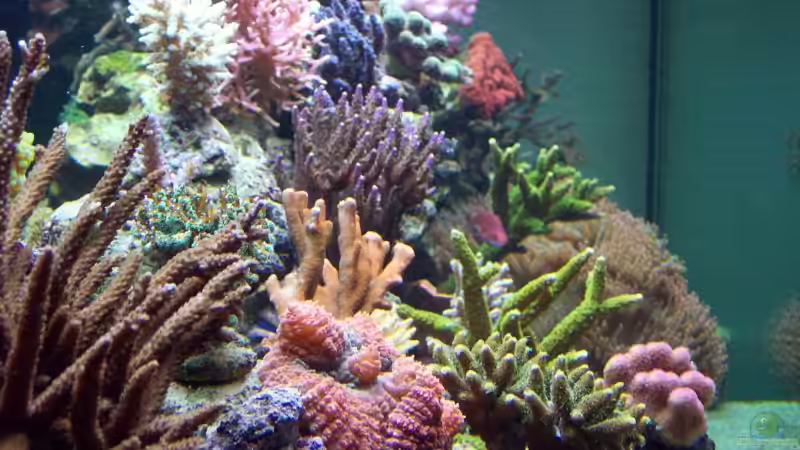 Stirnansicht von Lars Leonhardt (24)