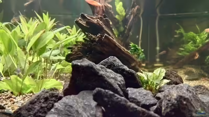 Stirnseite am 16.10.2021 während der Beleuchtungspause (mit Nachtmodus fotografiert) von C-NA (5)