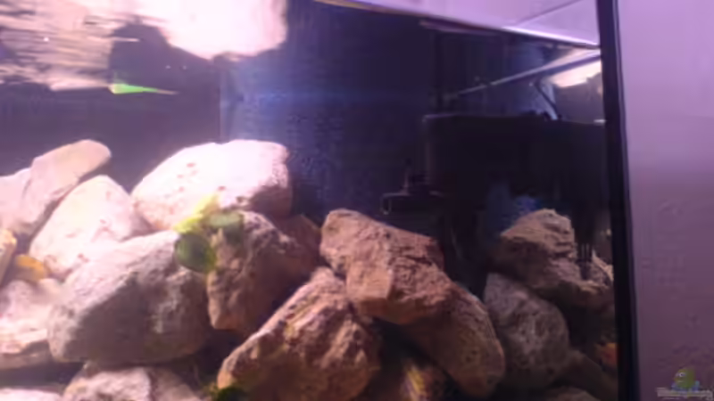 Stömungspumpe und Mattenfilter mit Tauchpumpe dahinter von Cindy Laumer (7)