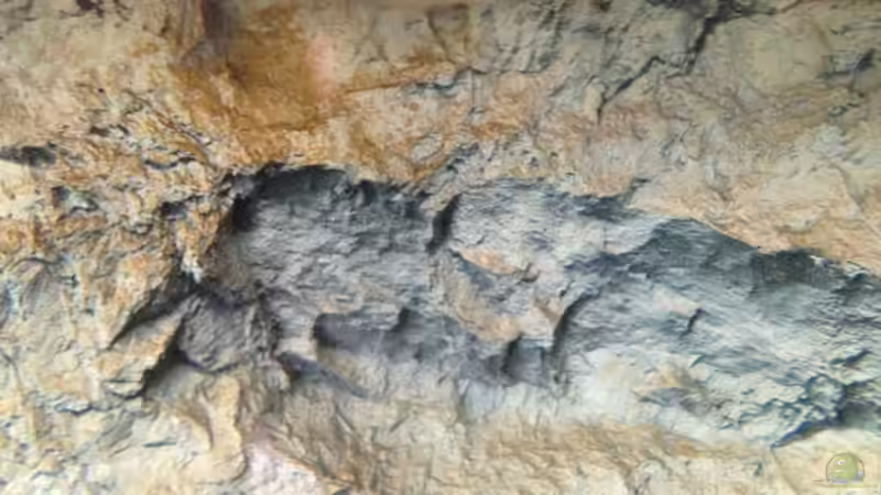 Stone bay area... von der Steirer (92)