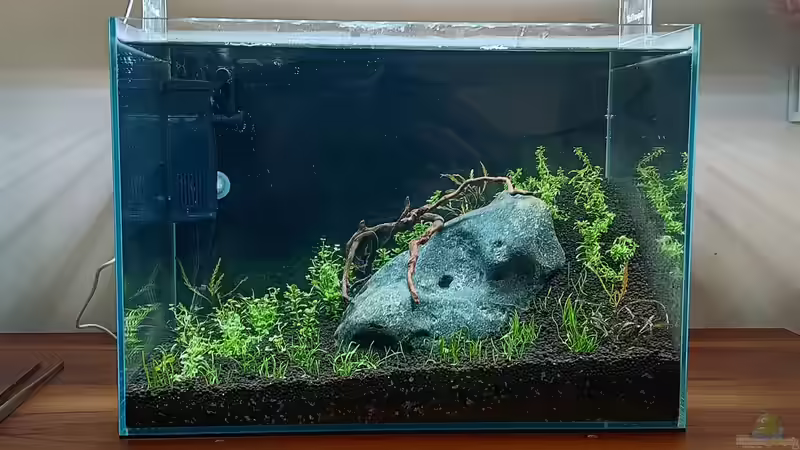 Stoned von Junglist (2)