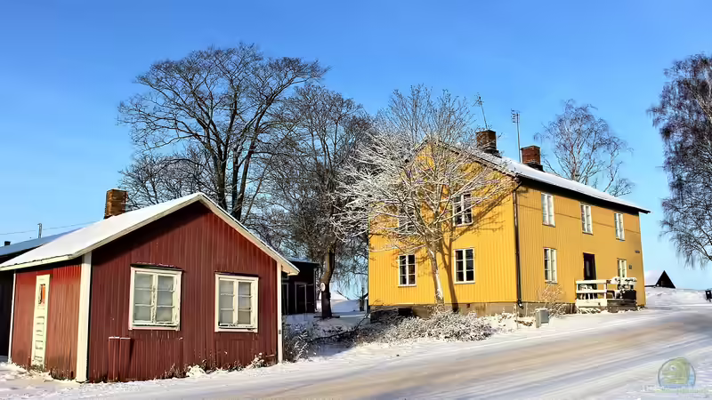 Stratifikation: Die Kälte, die Samen zum Leben erweckt