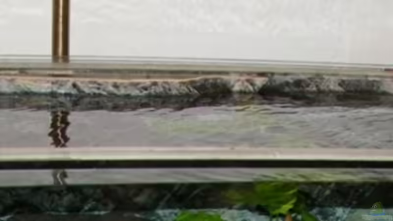 Ströhmung von Jo (10)