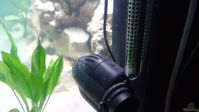 Strömung  von Fabian Lehmann (10)